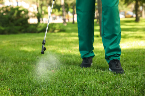 Wasp Removal Services in Cold Spring Harbor, NY