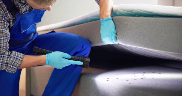 Best Pest Inspection Near Me  in Cold Spring Harbor, NY