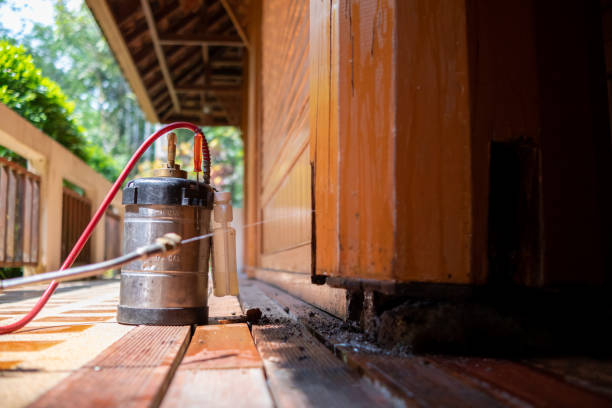 Best Ant Control Services  in Cold Spring Harbor, NY