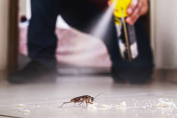 Best Pest Prevention Services  in Cold Spring Harbor, NY